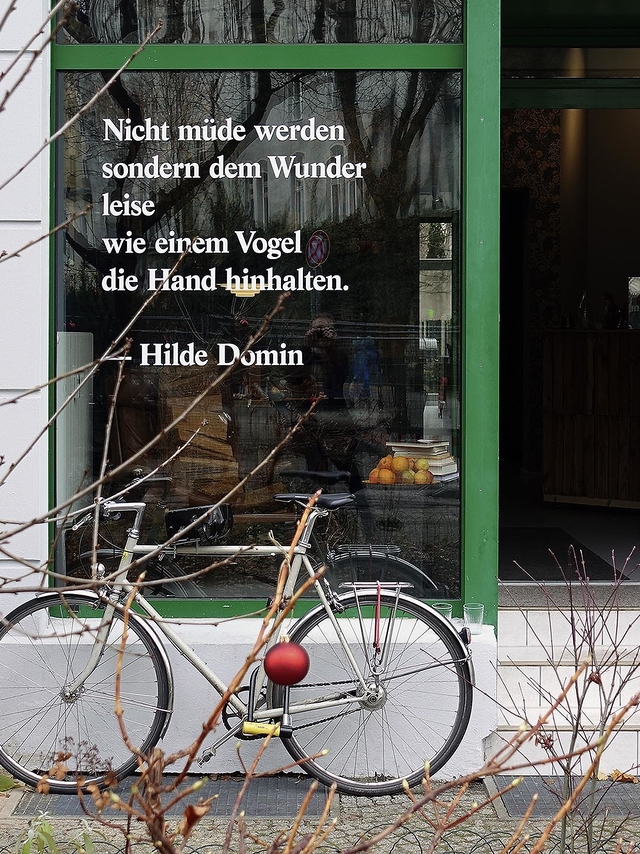 “Just don’t grow weary, rather to the miracle—silently, as if to a little bird—hold out your palm.” — Hilde Domin (Translation N. Ulrich Katalin) “Just don’t grow weary, rather to the miracle—silently, as if to a little bird—hold out your palm.” — Hilde Domin (Translation N. Ulrich Katalin)